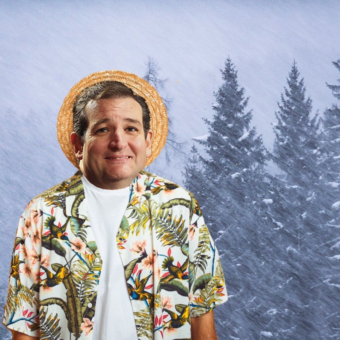 Senator Ted Cruz in a tropical shirt 